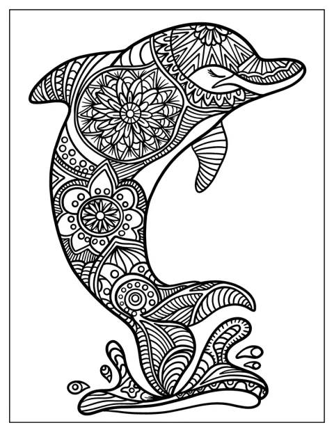 En mönstrad delfin hoppar upp ur vattnet.