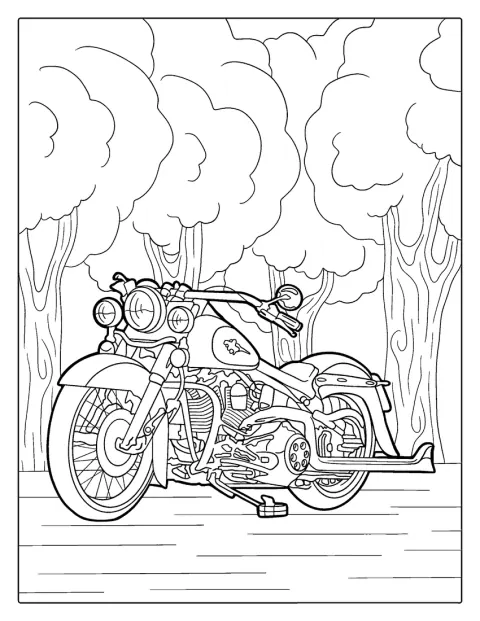 Ein Indian Motorrad ist von der Seite abgebildet.