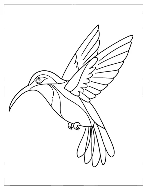 En enkel kolibri flyver med vingerne spredt.