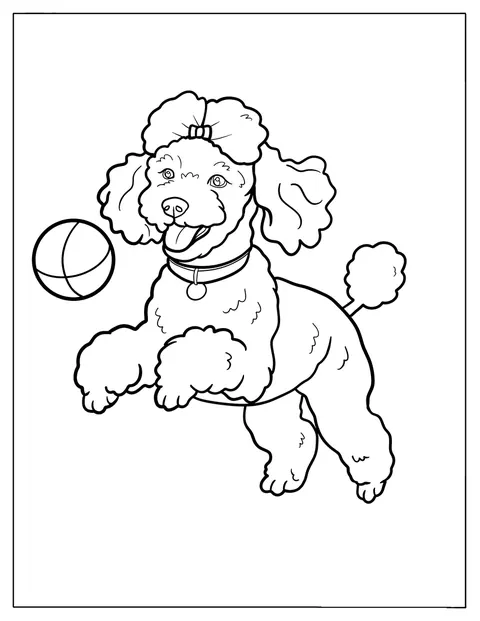 Um caniche salta alegremente atrás de uma bola de brincar.