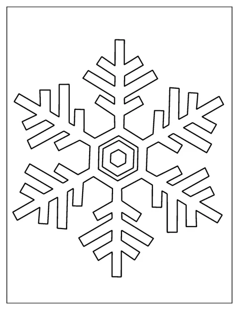 En stor snöflinga breder ut sina symmetriska grenar.
