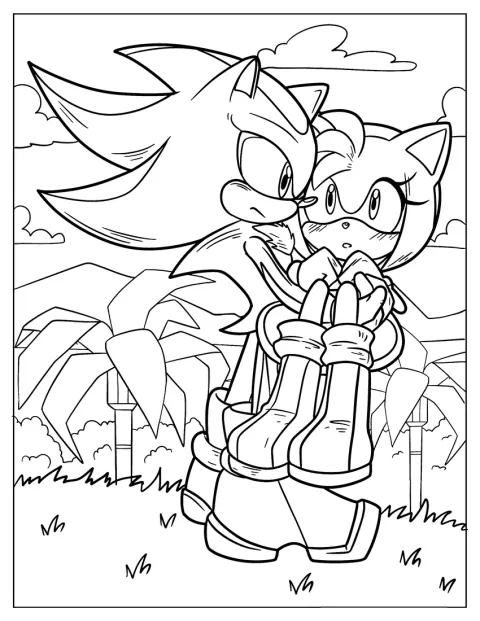 Shadow porte Amy Rose dans ses bras.
