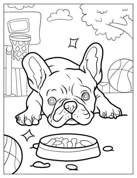 Egy francia bulldog kényelmesen elnyúlik a fűben.
