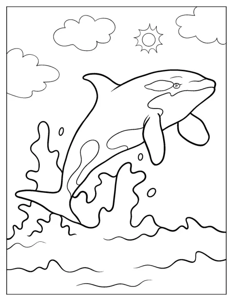 En söt späckhuggare stänker vatten när den plaskar i havet.