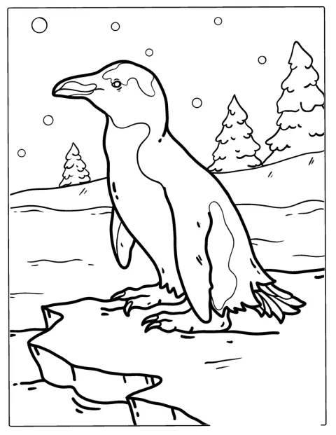フンボルトペンギンが一羽、すっくと立っています。