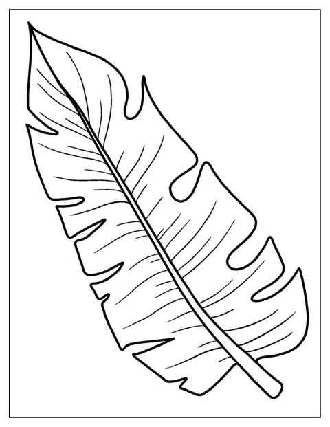 Tropical Leaf Coloring Picture