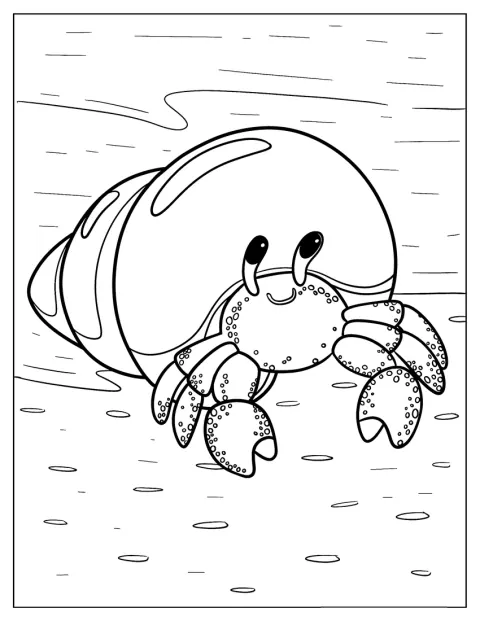 Krab pustelnik wystawia głowę ze swojej muszli.