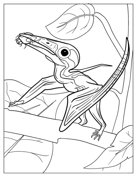 Um pterodáctilo bebé apanha um inseto para comer.