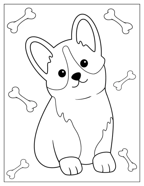 Corgi sedí s velkýma ušima a krátkými tlapkami.