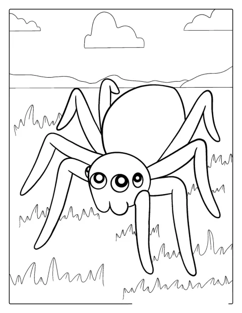 Une araignée aux contours simples est dessinée de face.