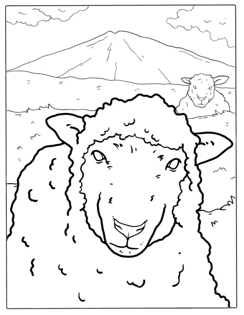 Un mouton au pelage épais et duveteux se tient debout.