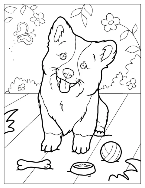 コーギーが舌を出し、にっこりと笑っています。