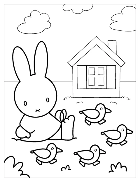 Miffy pasea por la granja junto a varios patitos.