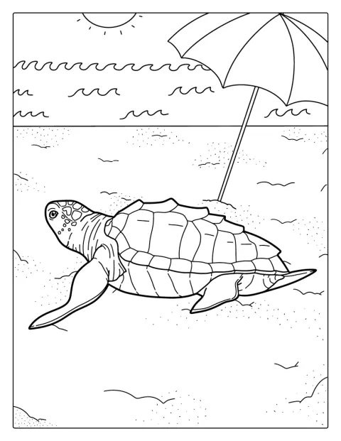 Una tortuga descansa al sol en la playa.