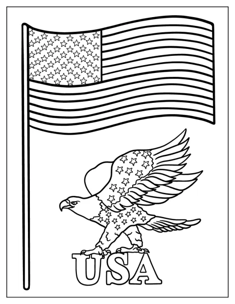 American Flag With Eagle and USA