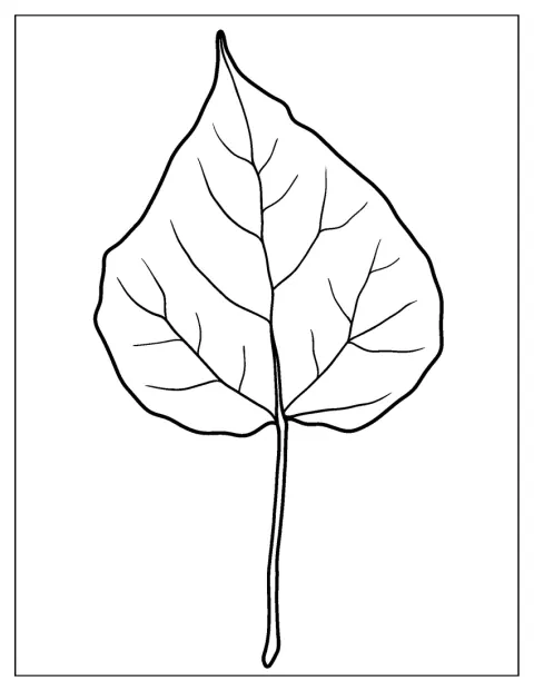 Een blad van een sering staat centraal afgebeeld.