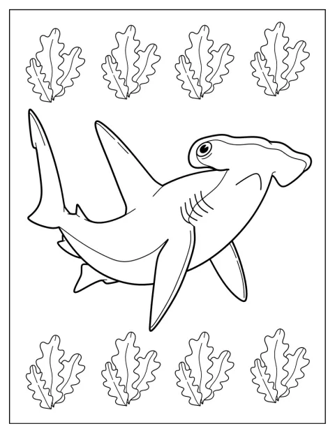 Mr. Hammerhead Shark Coloring Page For Kids