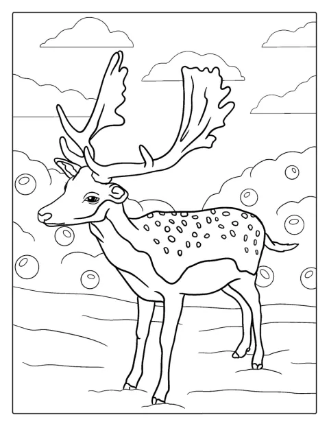 Egy dámszarvas áll a képen.