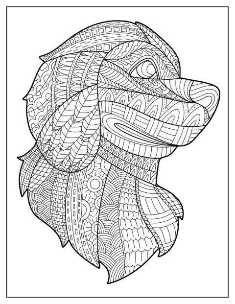 Le visage d’un chien est composé de motifs géométriques et floraux.