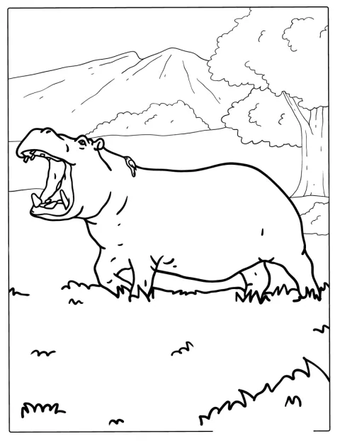 Ein ostafrikanisches Flusspferd spaziert durch die Sahara.