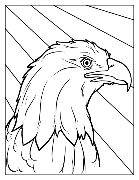 鋭いくちばしと目が印象的な、ハクトウワシの頭が描かれています。