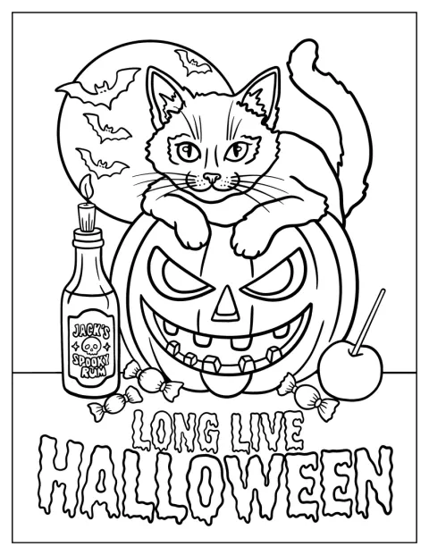 いたずら好きな猫が、かぼちゃやりんご飴、ラム酒の瓶と並んでいます。