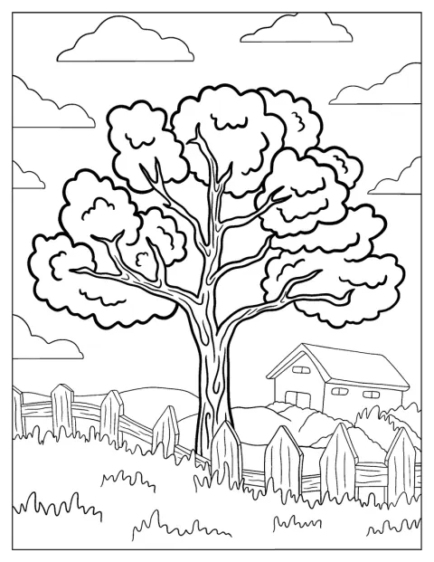 Un arbre aux nombreuses branches pousse à côté d’une clôture.