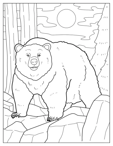 Bear Coloring Page Walking In Rocky Terrain