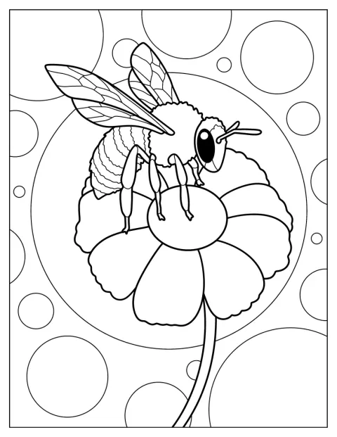 大きなミツバチがデイジーの花にとまっています。