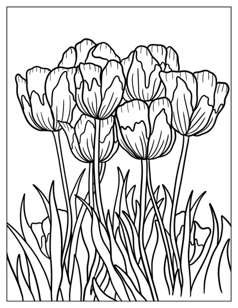 Grote tulpen met verfijnde patronen vullen de afbeelding.