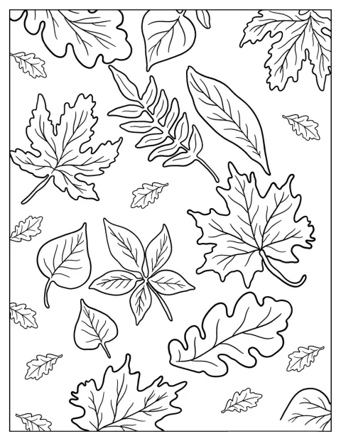 Un insieme di foglie di diverse forme richiama i colori dell'autunno.