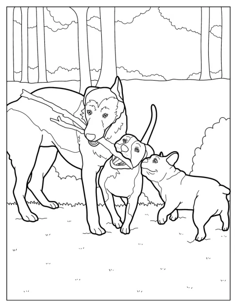 Tre cani tirano e giocano insieme con un bastone grande.