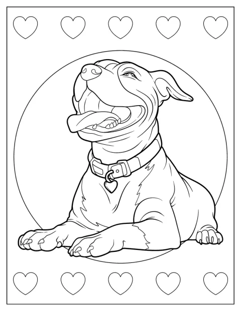 Pitbull lepää maassa ja hymyilee tyytyväisenä.
