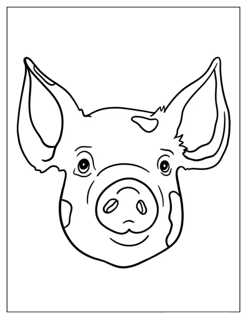 Die schlichte Umrisszeichnung zeigt den Kopf eines Schweins.