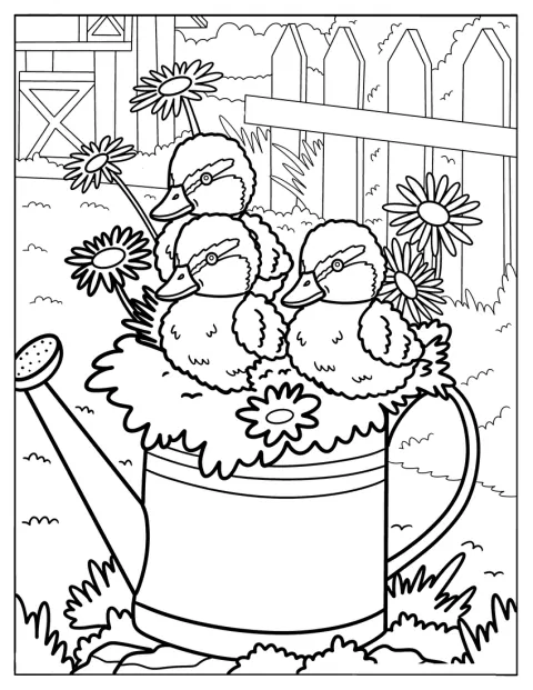 Unos patitos asoman de una regadera rodeada de margaritas.