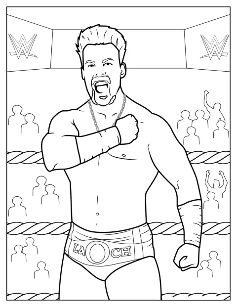Sheamus steht als WWE-Wrestler bereit.