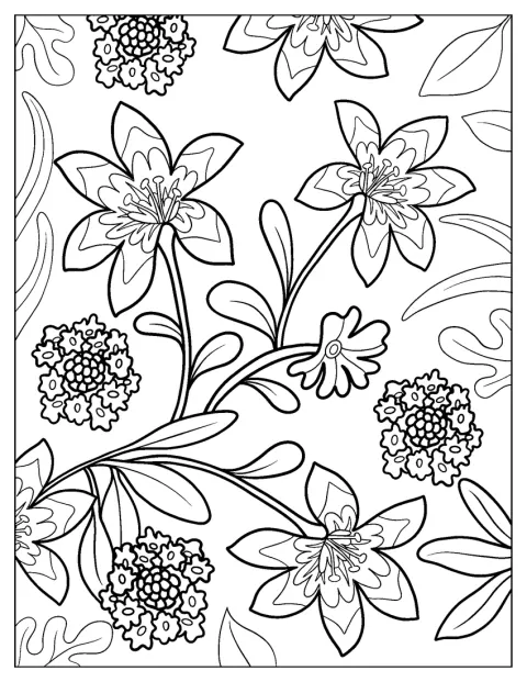 Lírios-brancos florescem em caules com folhas compridas.