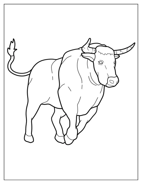 Un toro corre a tutta velocità.