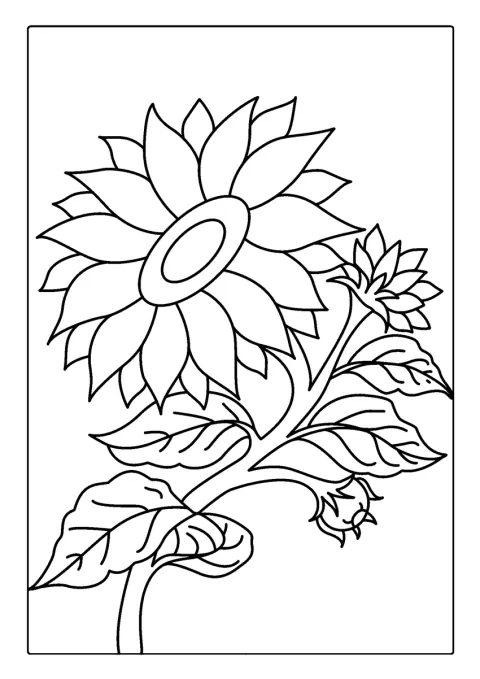 En kunstnerisk tegnet solsikke viser fram sine mange kronblader.
