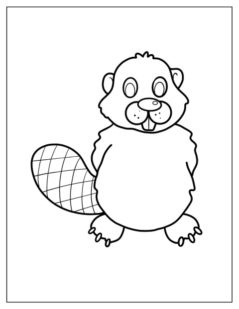 漫画風に描かれたビーバーが、こちらを向いています。