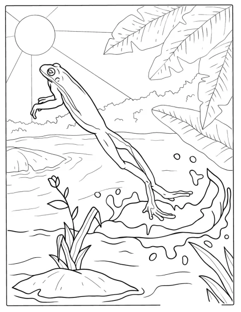 Frog Jumping Off Lily Pad