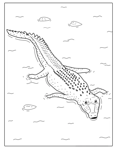 Un cocodrilo nada por el agua.