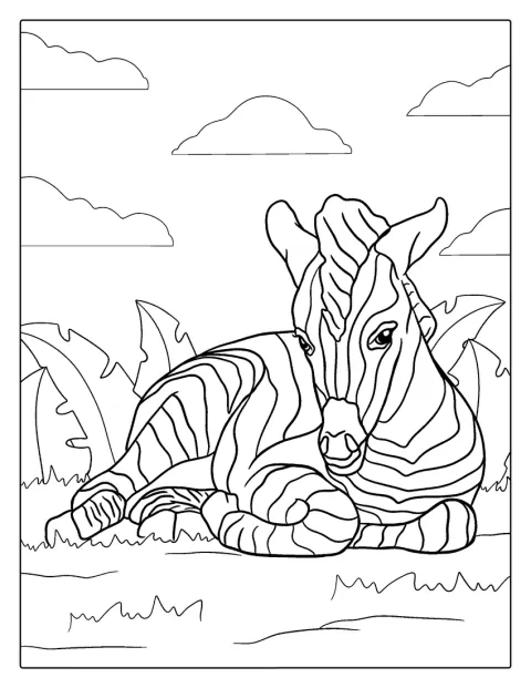 Een schattige babyzebra ligt rustig te rusten.
