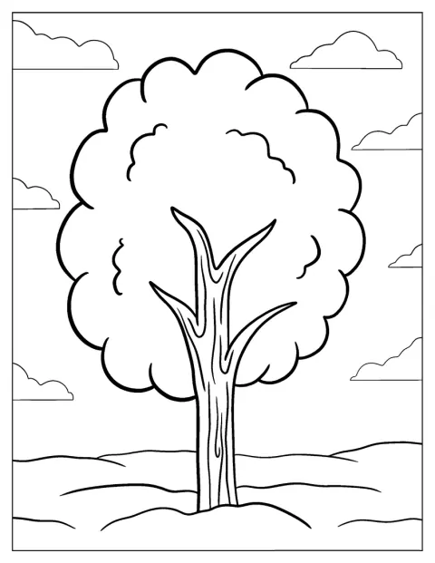 Bushy Tree Coloring Tree For Kids