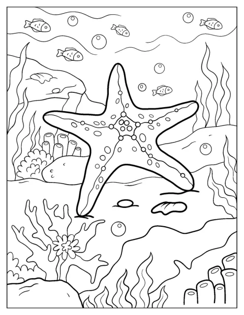 Duża rozgwiazda spoczywa pośród koralowców.