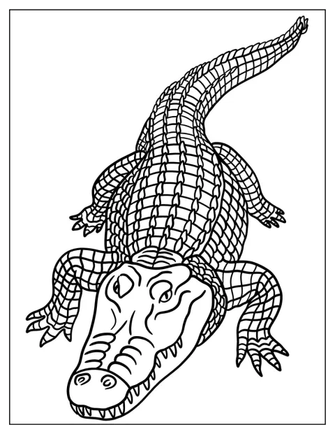 Un cocodrilo sonriente posa con un dibujo sencillo.