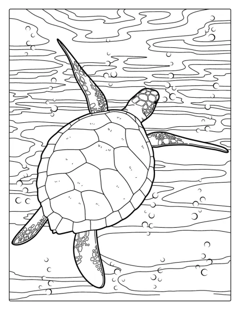 Green Sea Turtle Coloring Page