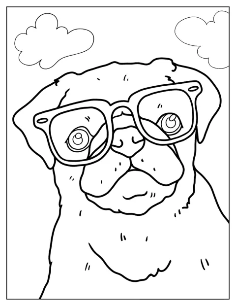 En mops har på seg et par briller.