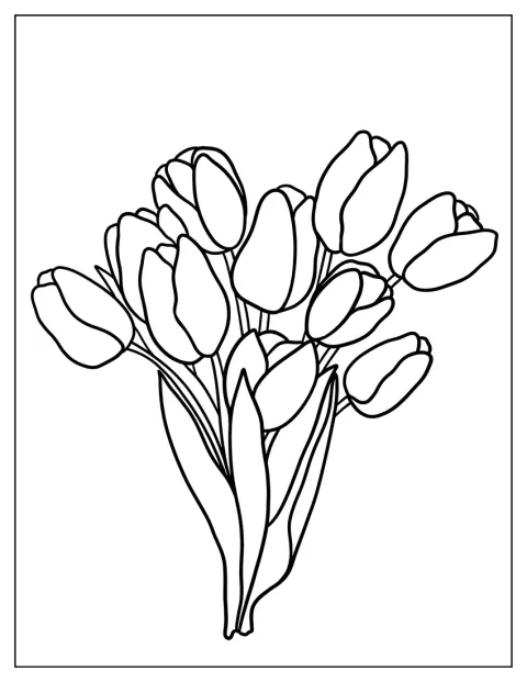 Um ramo de tulipas acabadas de colher está reunido.