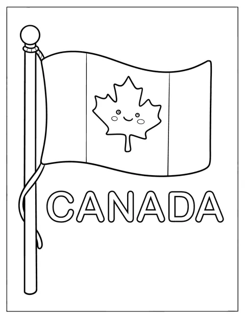 中央にカエデの葉が描かれたカナダの国旗です。